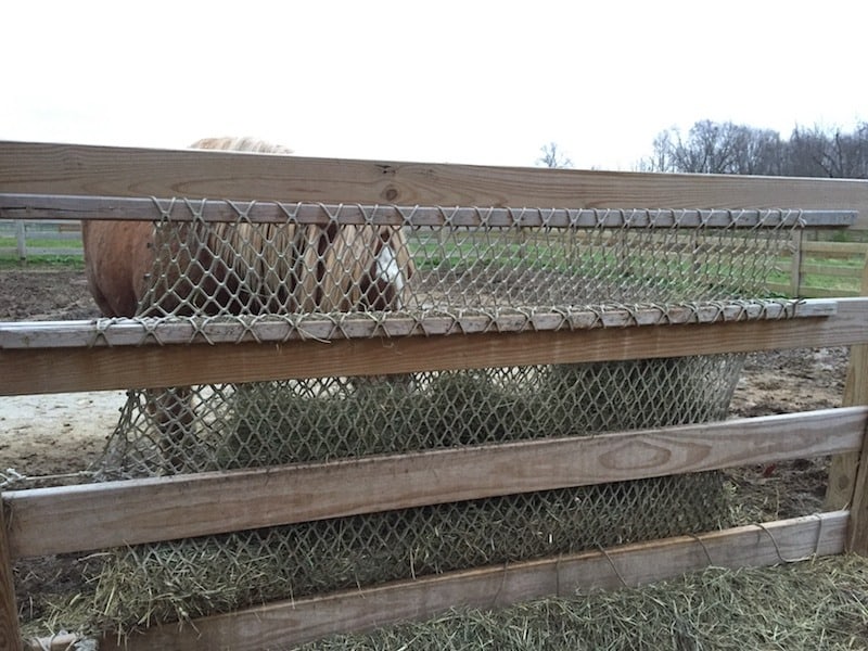 Slow Feeder Hay Nets Achaius Ranch